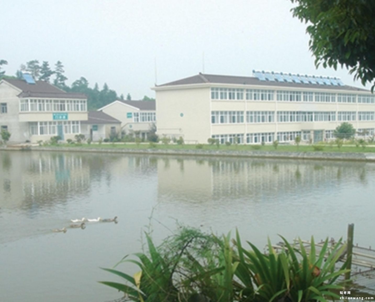 马鞍山向阳护理院