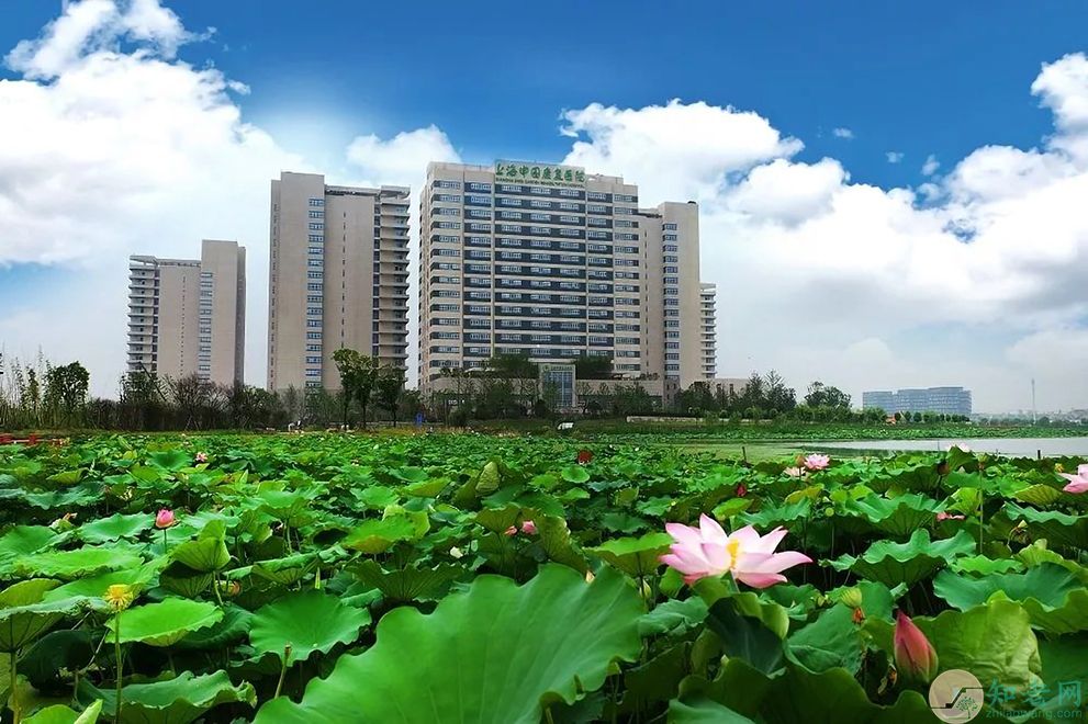 泰康之家上海申园康复医院,泰康上海养老社区